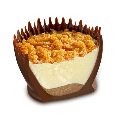 Coupe-Tiramisu-(2)