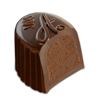 Antoinette-(1)