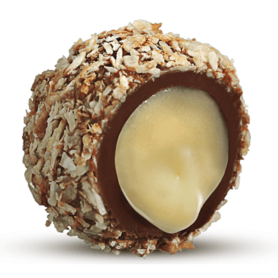 Coco-(1)